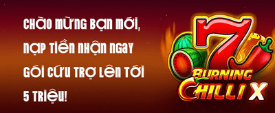 Siêu Ưu Đãi Nạp Lần Đầu promotion
